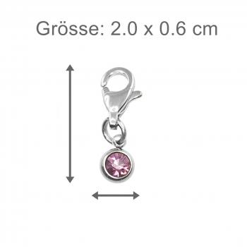 strass stein charm