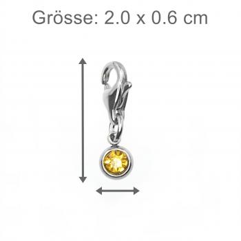 strass stein charm