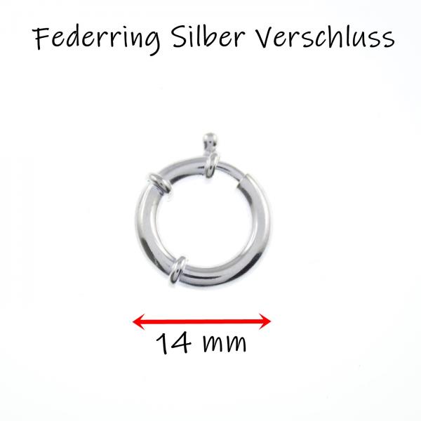 Silber Verschlussring Federring